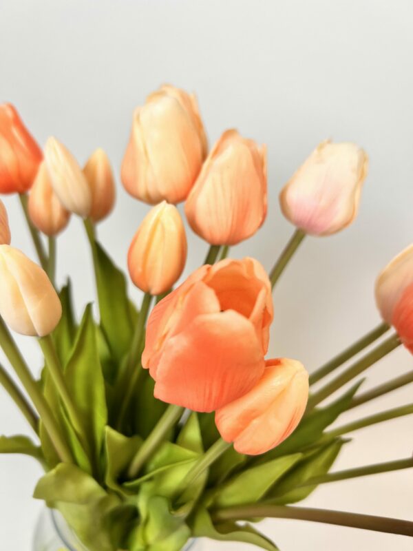 Tulpen boeket peach - Afbeelding 3
