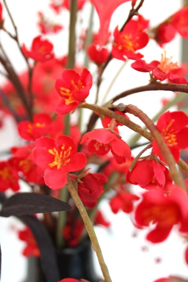 Poppy red - Afbeelding 2
