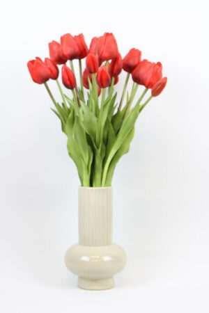 Tulpen boeket rood