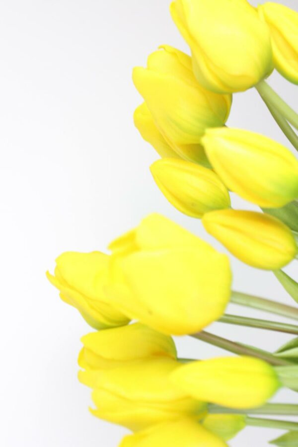 Tulpen boeket geel - Afbeelding 3