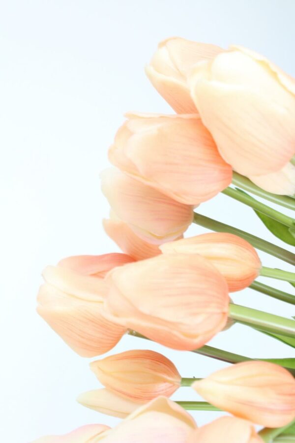 Tulpen boeket peach - Afbeelding 4
